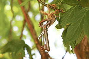 Menininkė medį papuošė kauniečių suneštais raktais