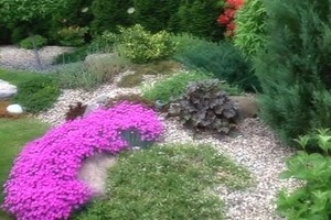 Tobulas alpinariumas: kaip pagražinti savo sodą per 3 valandas?