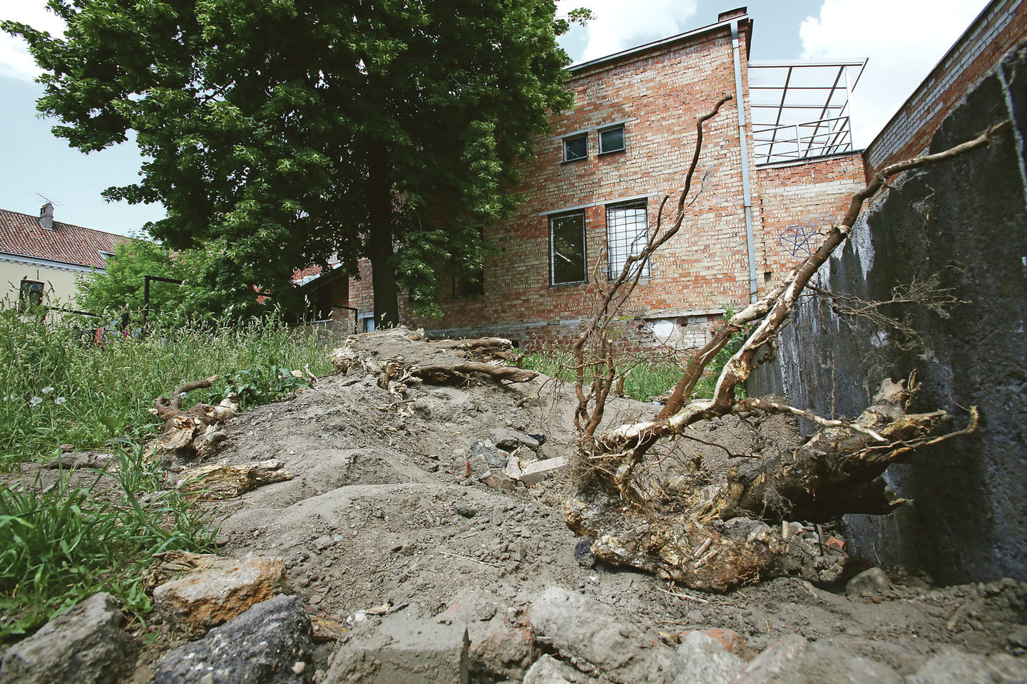 Kauno regiono smulkiųjų ir vidutinių verslininkų asociacijos įsteigtų namų kiemas primena šiukšlyną, o pastatas stūkso tarsi vaiduoklis apipaišytomis sienomis, į kurį nedrąsu užsukti.