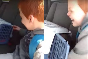 Nesumeluota meilė: geriausią draugę išvydęs vaikas pratrūko