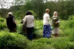 Garsiausios Lietuvos žolininkės darže – 10 stebuklingų augalų
