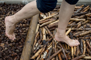 Savo kailiu patyrė kankinančią procedūrą. Patiks ne visiems