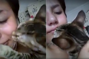 Mergina pravirko. Jos katės reakcija sužavėjo visus