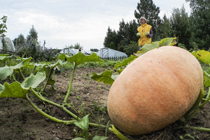 Kad išlaikytų darbo vietą, neįgalieji dirba geriau nei sveiki