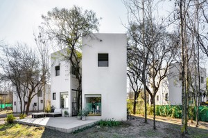Privatų kvartalą architektai kūrė pagal jame augančius medžius