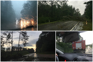 Vėtra Druskininkuose: virto medžiai, buvo dingusi elektra