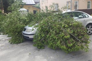 Vėjo neatlaikę medžiai Vilniuje krito ant automobilių
