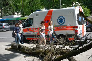 Moterį sužalojęs nudžiūvęs medis savivaldybei tapo siurprizu