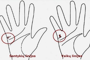 Delno linijos parodo, kiek turėsite santuokų ir vaikų