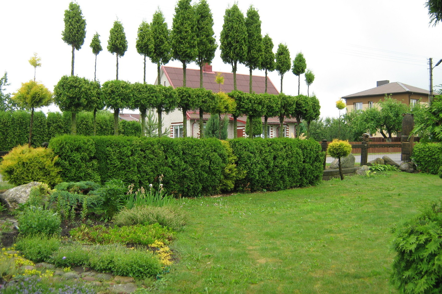 Pravažiuojančių Alvito kaimo gatve dėmesį patraukia įdomiai apkarpyti medžiai prie R.Blažaičio sodybos.<br>L.Juodzevičienės nuotr.