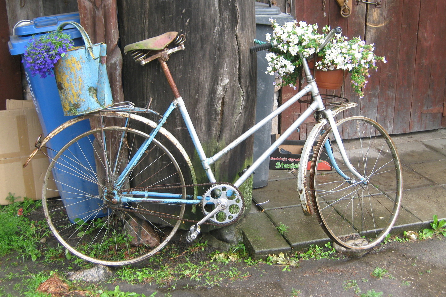 Senas dviratis pasidabino gėlėmis.<br>L.Juodzevičienės nuotr.