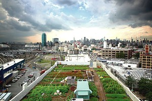 Greitojo maisto tėvynės elitas pasidavė naujai madai