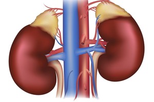 Nuovargis byloja apie sutrikimą, kurį įveikti galima natūraliai