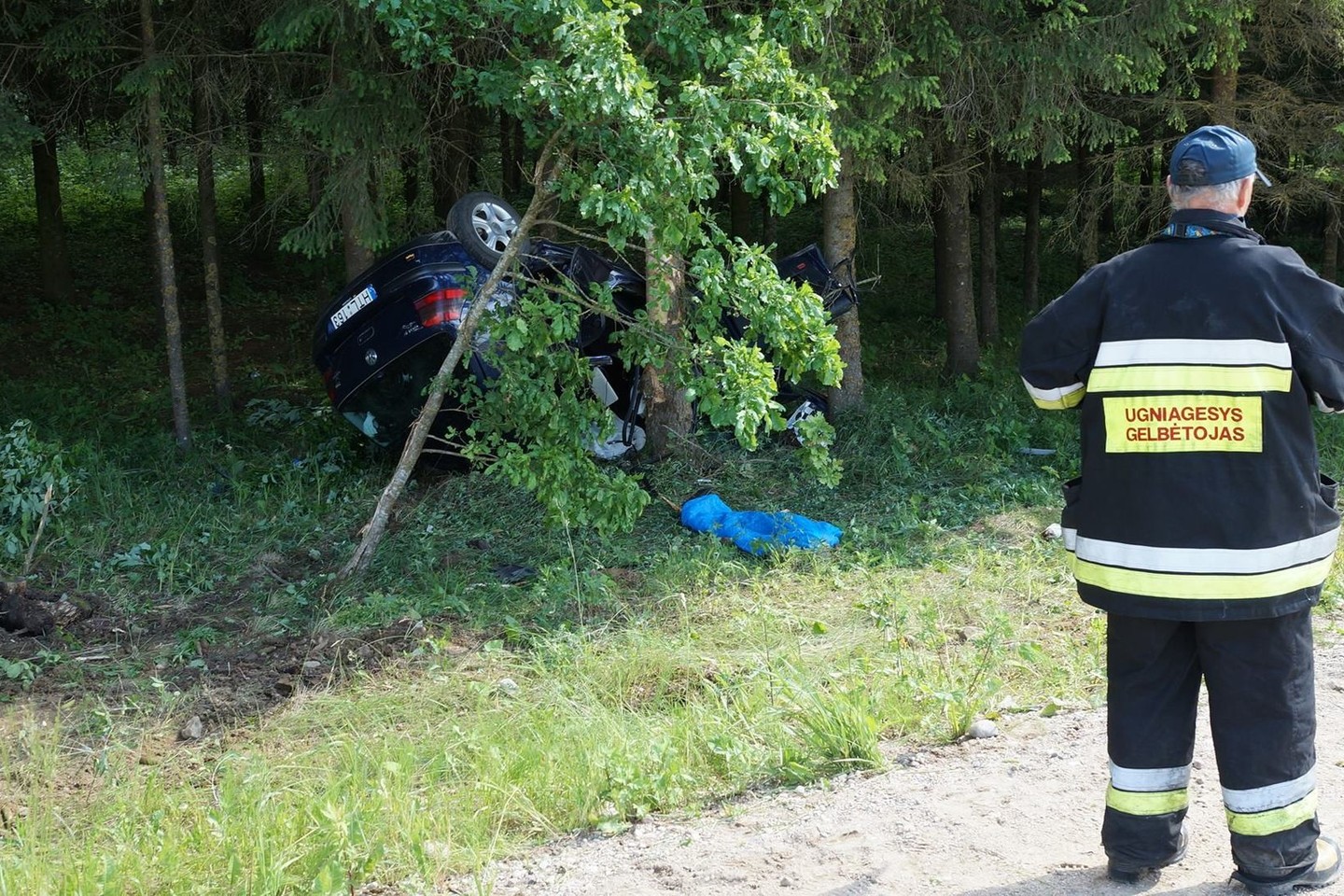 Raseinių r. „VW Golf“ nuskriejo į medžius, vairuotoja žuvo.