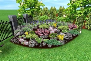 Pagrindinė taisyklė, kad alpinariumo nesunaikintų piktžolės