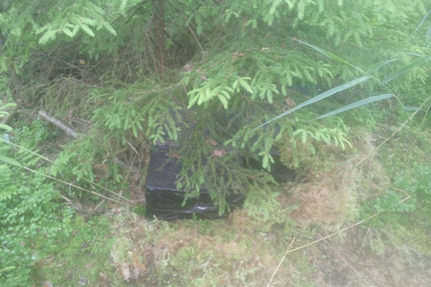 Kontrabandą gabenusius baltarusius pasieniečiai stabdė šūviais.
