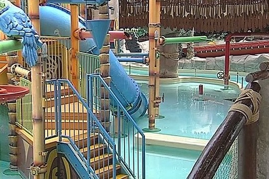 Po vandens parke skilusios kaukolės berniukas dar žaidė krepšinį