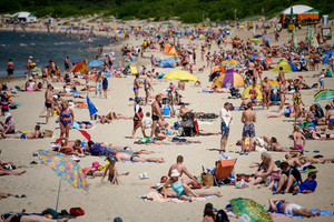 Palangą jau pradėjo krėsti savaitgalio tropikų drugys