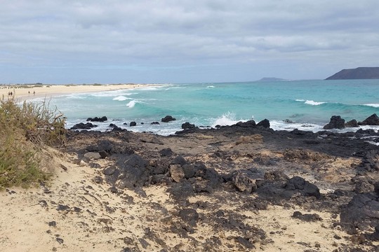Roges ruoškite vasarą: kur atostogauti žiemą?