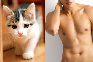 Nuogas vyras pasilenkė po kriaukle. Tada atbėgo žaisminga katytė