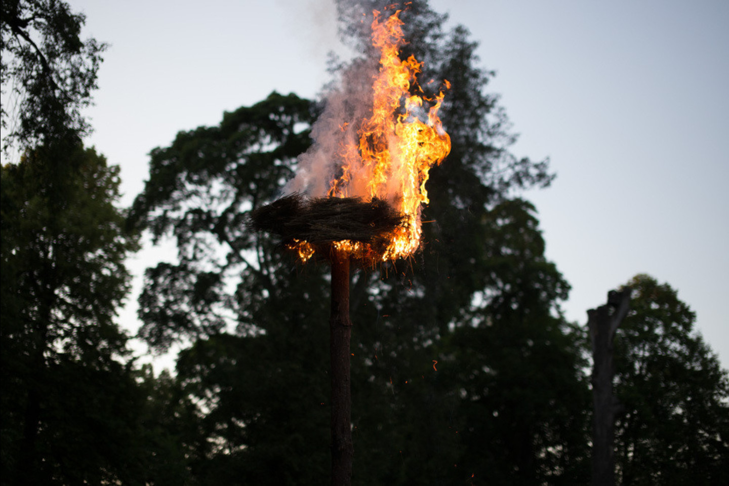 Verkių parke – Joninių šventė<br>S.Kuzminskaitės nuotr.