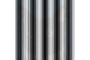 Optinė iliuzija: koks gyvūnas slepiasi tarp dryžių?