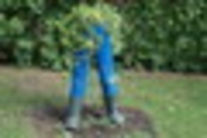 Išsirengėt į Taujėnų dvarą? Apstulbins ir greta esančios sodybos