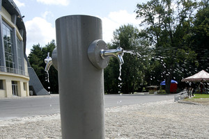 Trokštančius per karščius gaivina ir atgijusios vandenpylės