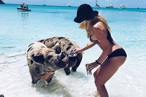 Kam „Brexit“, kam nusispjaut: Londono turčių vaikų tai neliečia