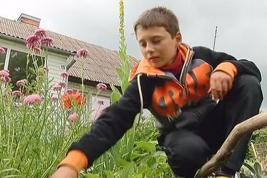 13-mečiui išpuoselėtų gėlynų gali pavydėti kiekvienas