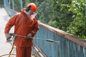 Svarbiausi DK pakeitimai, kuriems gali nepritarti prezidentė