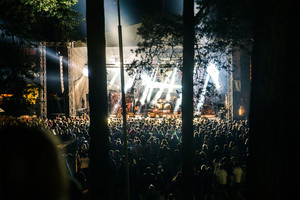 „Devilstone“: pasaulinio garso atlikėjai ir meno eksperimentai