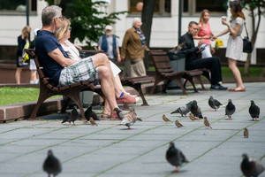 Vilnių užplūdo balandžiai: ne tik teršia, bet ir neša ligas