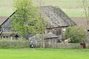 Nesu skysta, bet dėl vaizdo močiutės kaime verkiau porą dienų