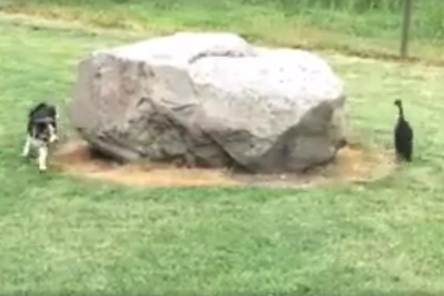 Įdomu, ar jie patys žino, kuris vejasi kurį?