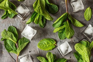 Atskleidė grožio paslaptį vasarą. Receptas gaminimui namuose