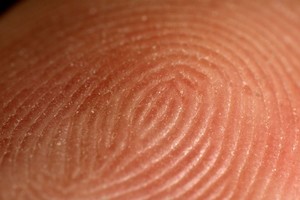 Neįtikėtinas žmogaus kūnas iš arti