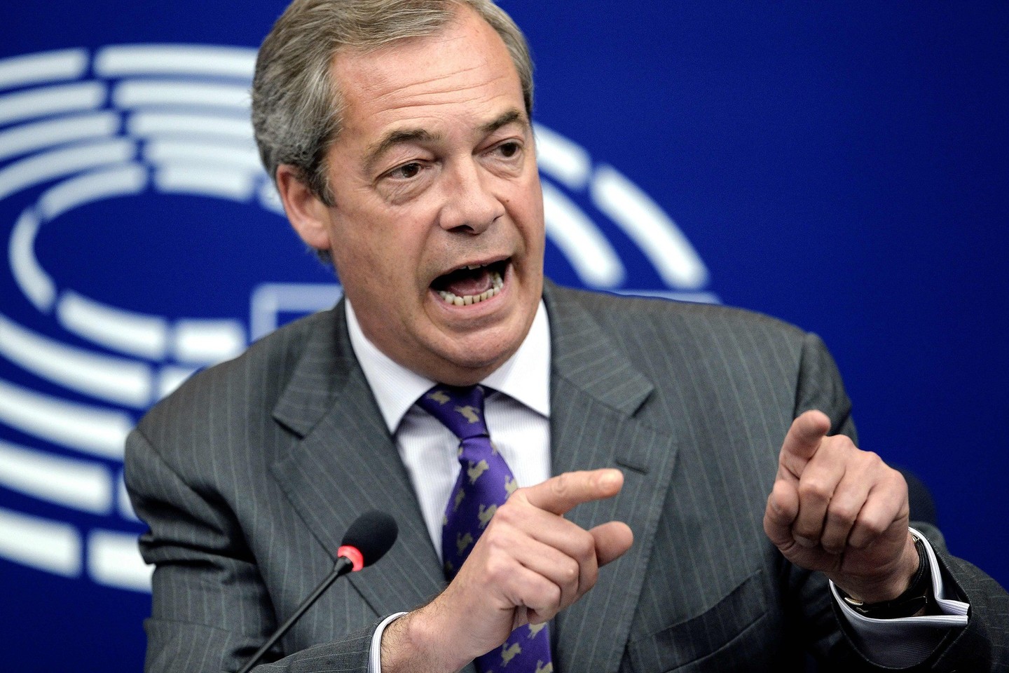 N.Farage'ui patiko užimti blogojo personažo vaidmenį Europos Parlamente.