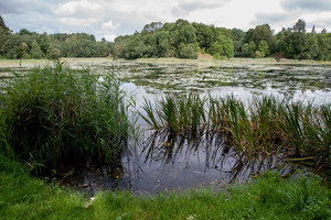Po juodojo savaitgalio įspėjo, kaip elgtis gelbstint skęstantįjį