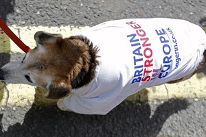 13 keisčiausių dalykų, dėl kurių bus galima kaltinti „Brexit“