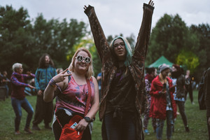 Utenos rajone siaučia „Revolution Festival 2016“