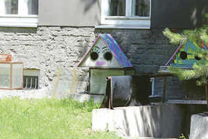 Kauniečiai beglobėms katėms kuria net išskirtinius namus