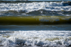 Palangoje Baltijos jūra nusinešė pirmąją gyvybę per trejus metus