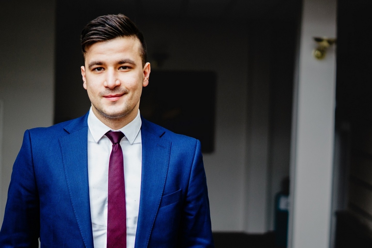 Povilas Stankevičius, DNB analitikas