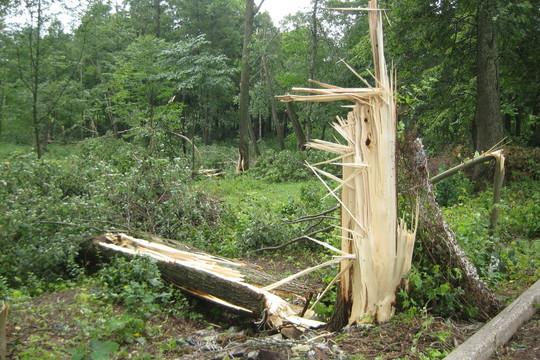 Būdviečio kaimui smogęs galingas viesulas žmonėms įvarė siaubo