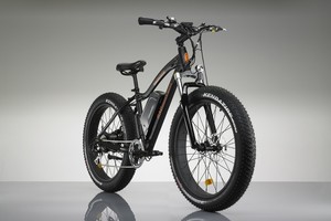 Šiam masyviam elektriniam dviračiui įveikiamos visos kliūtys