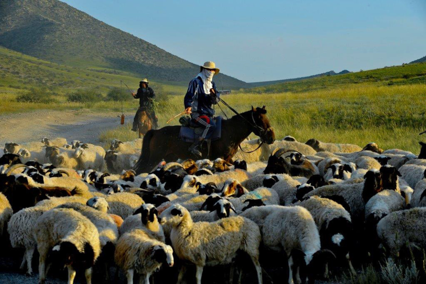 Kalnakasybos sektoriaus šuolis sustiprino Mongolijos ekonomiką, kuri nuo 2007 m. kasmet paaugdavo po maždaug 10 proc., o 2011 m. augimas siekė net 17,3 proc. – Mongolija tapo greičiausiai pasaulyje augančia ekonomika.<br>V.Ščiavinsko nuotr.