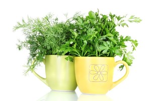 Petražolės ir krapai yra naudingesni, nei manyta iki šiol