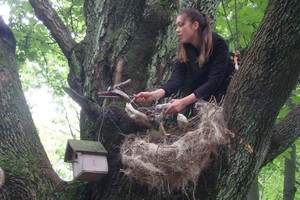 Klaipėdos skulptūrų parko medžiuose – aktoriai ir jų lėlės