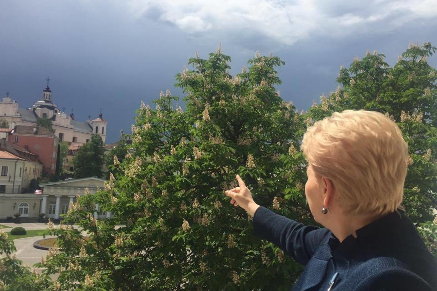 „Rodos, lietus kaupiasi... Tai jau „praplaus“, – skelbė D.Grybauskaitė.<br>„Facebook“ nuotr.